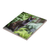 Dexter, die schwarze Siamkatze, Keramik Tile Fliese (Seite)