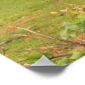 Dexter Grist Mill Sandwich Cape Cod Poster (Ecke)