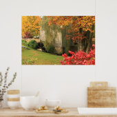 Dexter Grist Mill Sandwich Cape Cod Poster (Küche)