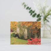 Dexter Grist Mill Sandwich Cape Cod Postkarte (Stehend Vorderseite)