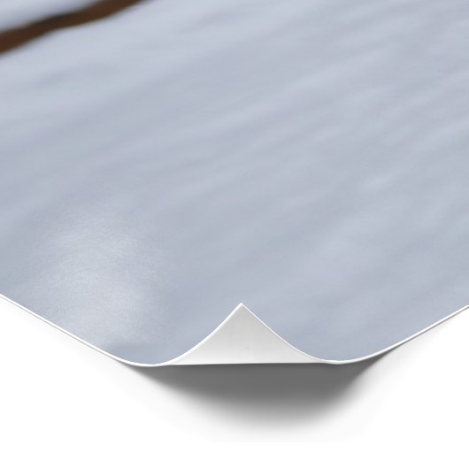 Dexter im Schnee - Glossy Poster Print (Ecke)