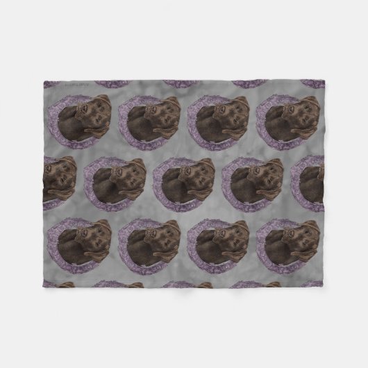 Dexter - Schokolade Labrador Fleecedecke (Vorderseite (Horizontal))