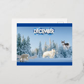 Dezember Arktische Harmonie  Folien Feiertagspostkarte