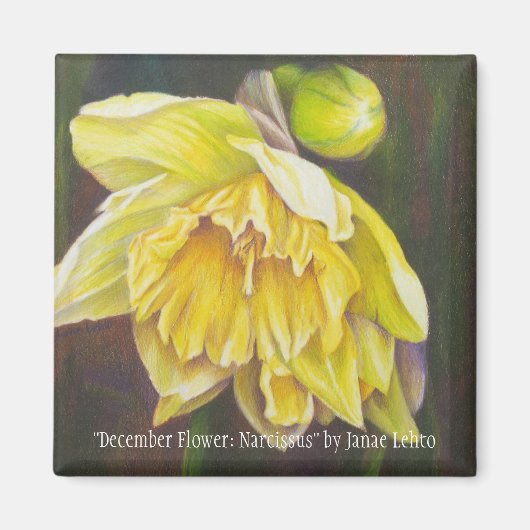 "Dezember Blume: Narcissus" von Janae Lehto Magnet (Vorne)