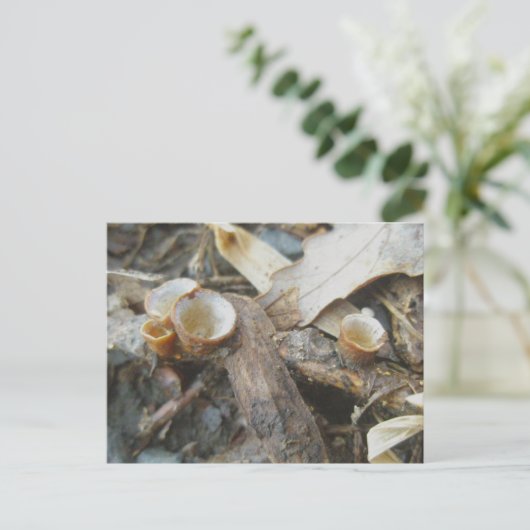 Dezember Cup Pilz Postkarte (Stehend Vorderseite)