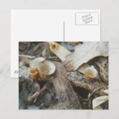 Dezember Cup Pilz Postkarte (Vorne/Hinten)