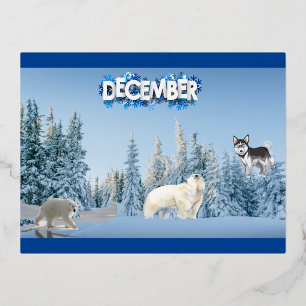 Dezember Folien Feiertagspostkarte