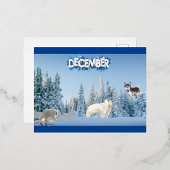 Dezember Folien Feiertagspostkarte
