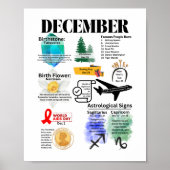 Dezember Fun Facts Poster (Vorne)