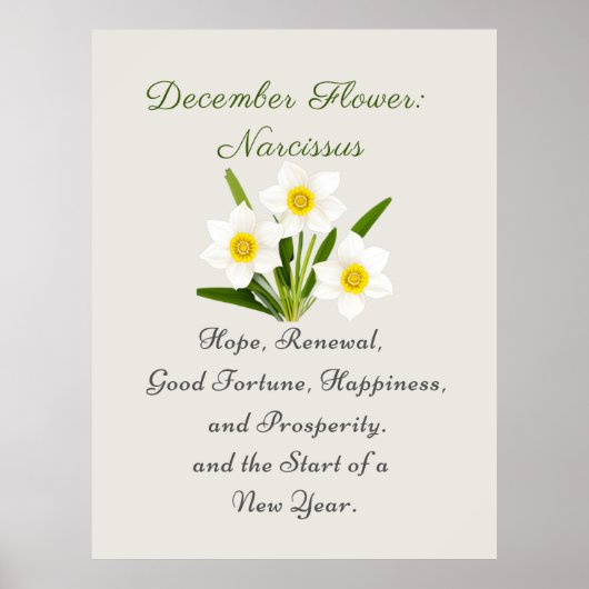 Dezember Geburtsmonat Blume Narcissus Elegante Poster (Vorne)