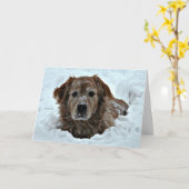 Dezember Geburtstag Spaß mit Niedlichem Hund Karte (Gelbe Blume)