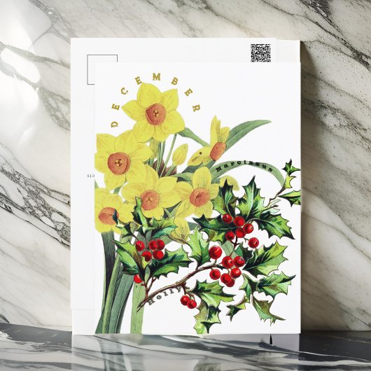 Dezember Monat Blume Narcissus & Holly Postkarte