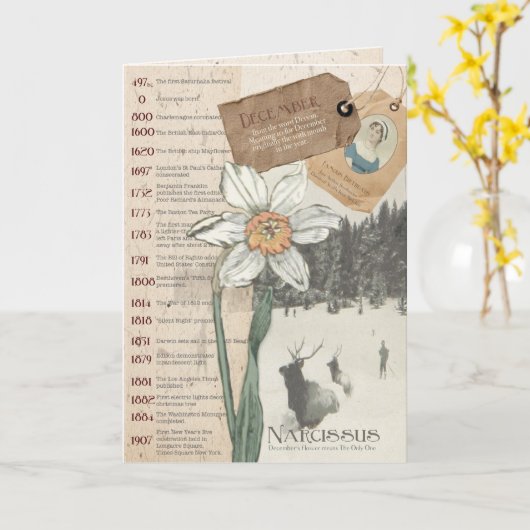Dezember Narcissus Geburtskarte Karte (Gelbe Blume)