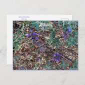 DEZEMBER POSTKARTE (Vorne/Hinten)