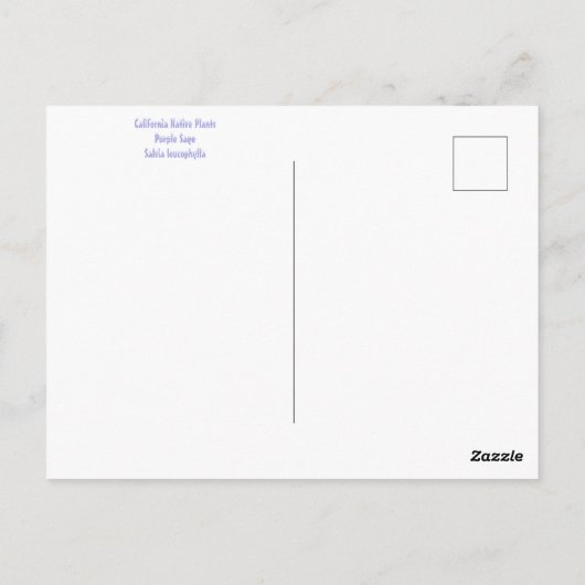 DEZEMBER POSTKARTE (Rückseite)