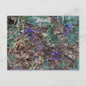 DEZEMBER POSTKARTE (Vorderseite)