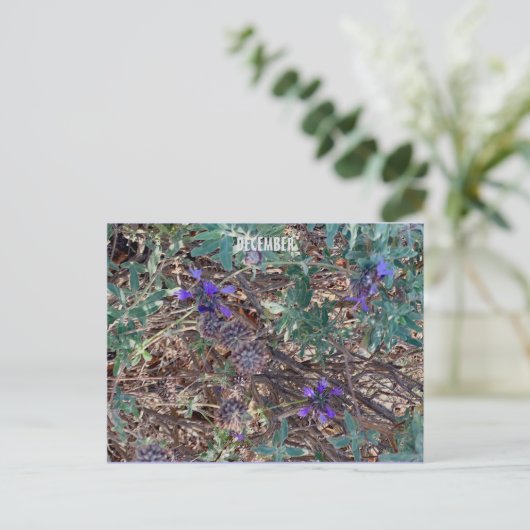 DEZEMBER POSTKARTE (Stehend Vorderseite)