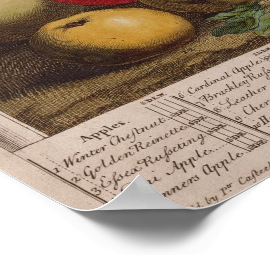 Dezember, "Zwölf Monate Obst" Poster (Ecke)