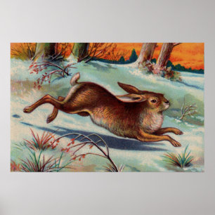 Dezent-Kaninchen-Mittelposter Poster