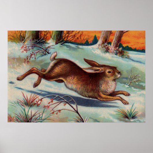 Dezent-Kaninchen-Mittelposter Poster (Vorne)