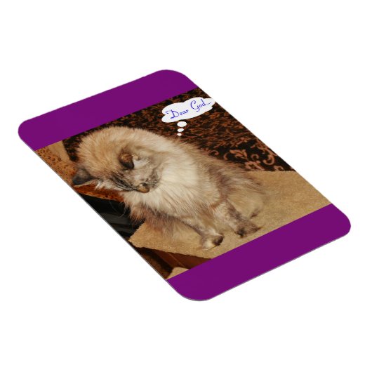 Dezi beti Magnet (Rechte Seite)