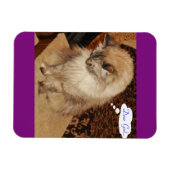 Dezi beti Magnet (Horizontal)