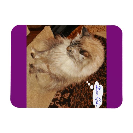 Dezi beti Magnet (Horizontal)