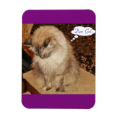 Dezi beti Magnet (Vertikal)