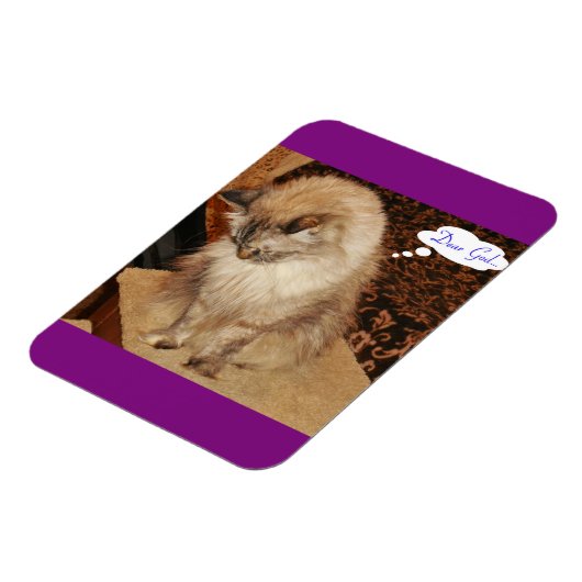 Dezi beti Magnet (Linke Seite)