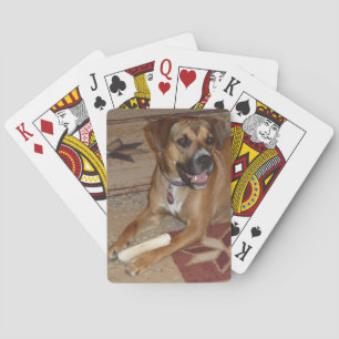 DG- Boxer Mix Playing Cards Spielkarten