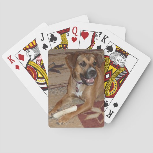 DG- Boxer Mix Playing Cards Spielkarten (Rückseite)