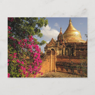 Dhamma Yazaka Pagoda in Bagan (Pagan), Myanmar Postkarte