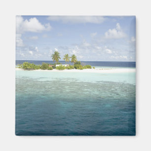 Dhiggiri-Insel, South Ari-Atoll, Malediven, Magnet