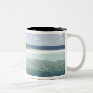 Dhiggiri-Insel, Süd-Ari-Atoll, Malediven, Zweifarbige Tasse