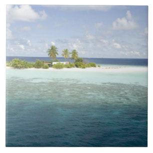 Dhiggiri Island, South Ari Atoll, The Maldives, Fliese