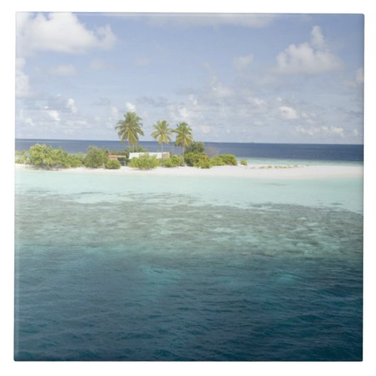Dhiggiri Island, South Ari Atoll, The Maldives, Fliese (Vorderseite)