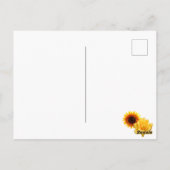 Dia De Los Muertos Kittens Postcard Postkarte (Rückseite)