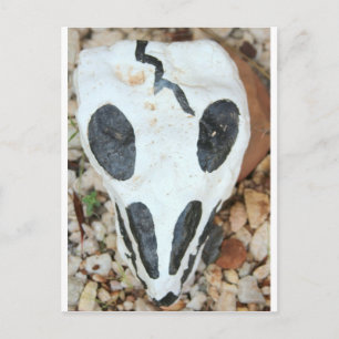 dia del muerte skull postkarte