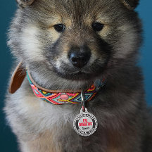 Diabetiker Pet Medizinischer Warnhinweis Individue