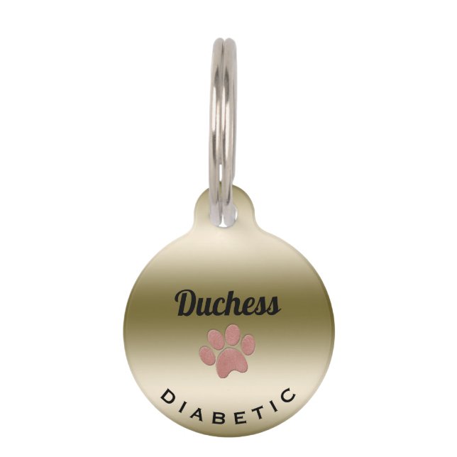 Diabetische medizinische Warnmeldung Paw Print Pho Haustiermarke (Vorderseite)