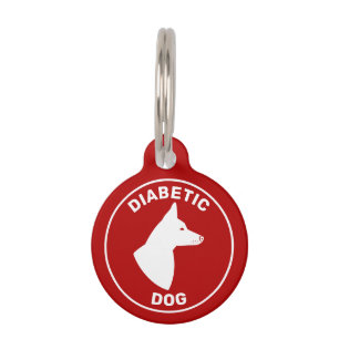 Diabetischer Hund mit Hund mit aufgestellten Ohren Haustiermarke