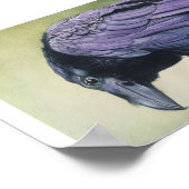 Diablo Das rohe Crow-Farbdruckpapier Poster (Ecke)