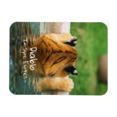 Diablo - magnet (Horizontal)