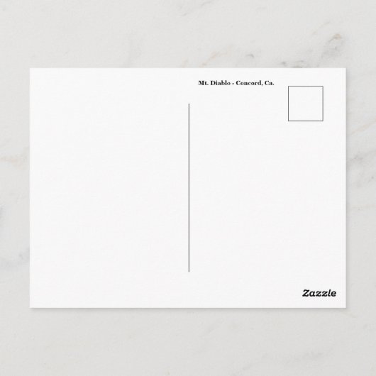 Diablo Postcard Postkarte (Rückseite)