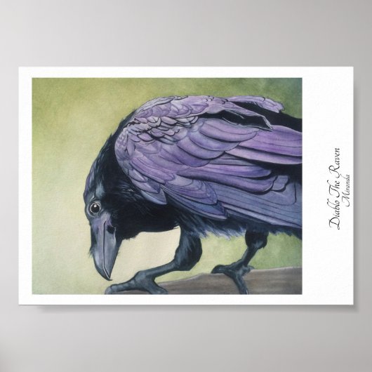 Diablo The Crow Black Raven Art Miranda Poster (Vorne)