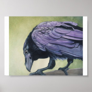 Diablo The Raven Crow Watercolor Druck Feines Papi Poster