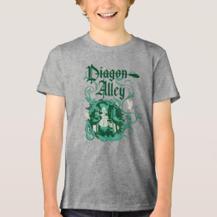 DIAGON ALLEY™ Vintage Grafik Tri-Blend Shirt