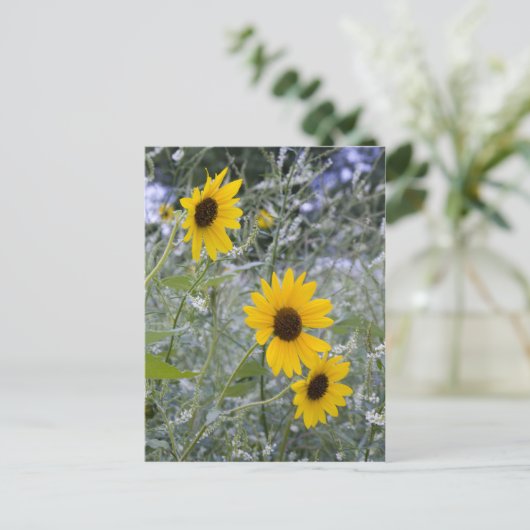 Diagonal Stack Sonnenblumen Postkarte (Stehend Vorderseite)