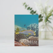 Diagonale mit einem Band versehenes Sweetlip Postkarte (Stehend Vorderseite)