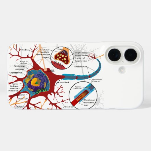 Diagram Complete Neuron Cell Nerve Nervous System Case-Mate iPhone Hülle (Rückseite (Horizontal))
